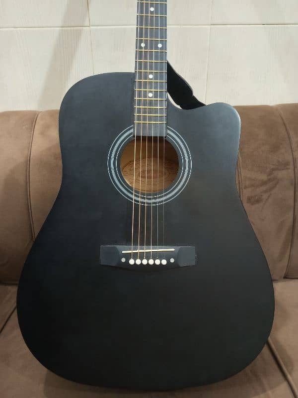 Acoustic Guitar 2