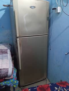 Hair Full Size Used Fridge