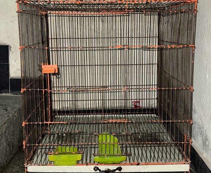 selling my parrots full size cage 2