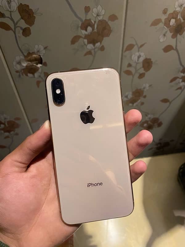 iPhone XS  256 gb 0