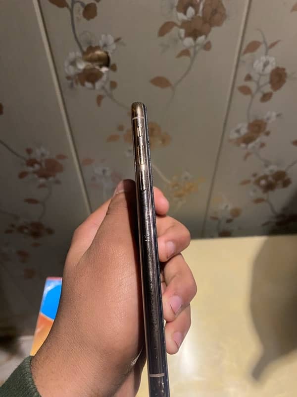 iPhone XS  256 gb 3