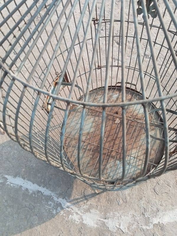 cage for sale 1