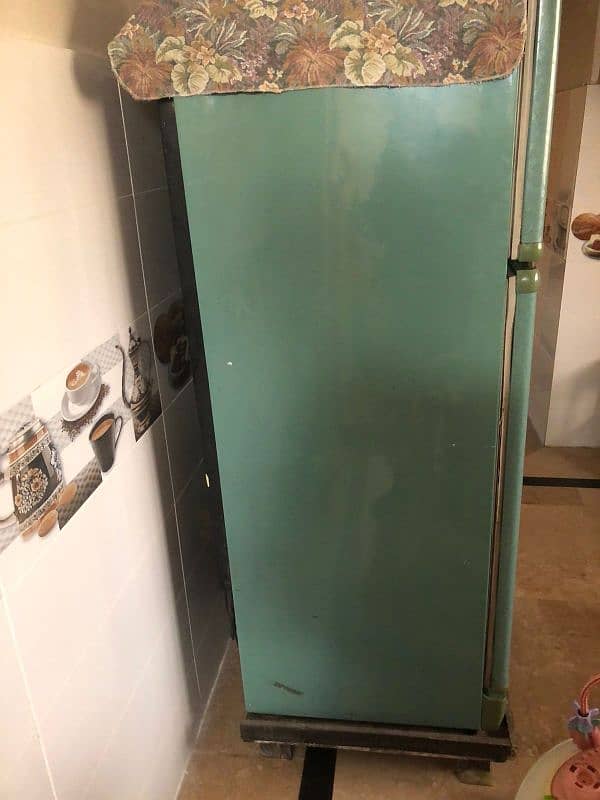 PEL Refrigerator for SALE 1