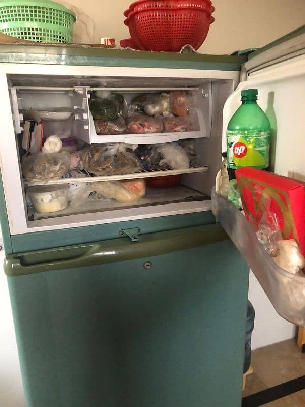 PEL Refrigerator for SALE 4