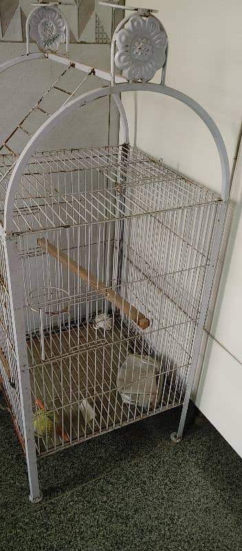 cage parrot pinjra like new 1