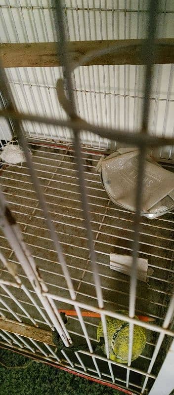 cage parrot pinjra like new 2