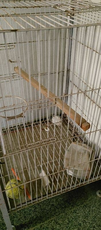 cage parrot pinjra like new 3