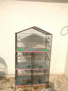 Birds Cage