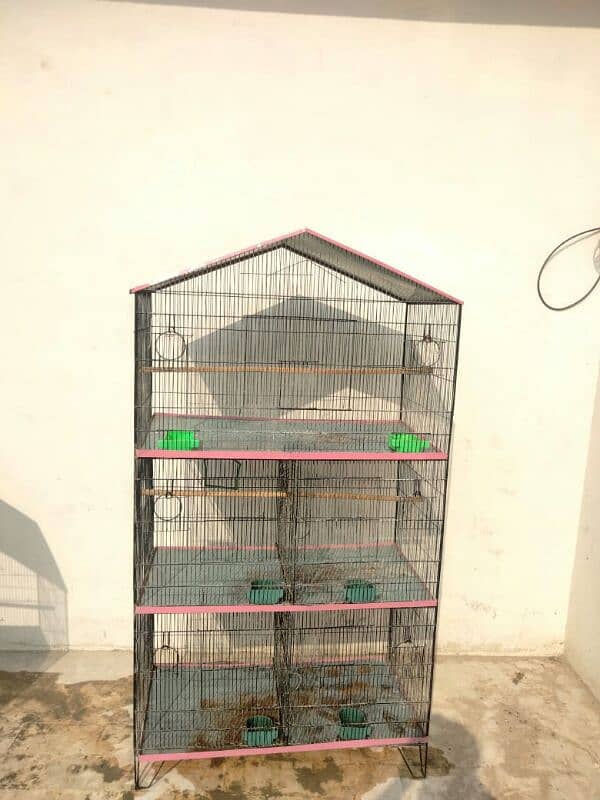 Birds Cage 0