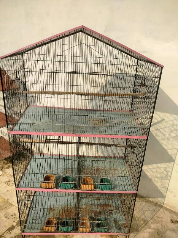 Birds Cage 1