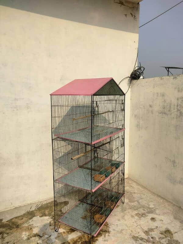 Birds Cage 2