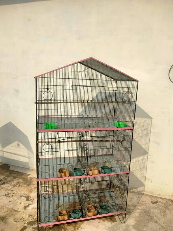 Birds Cage 3