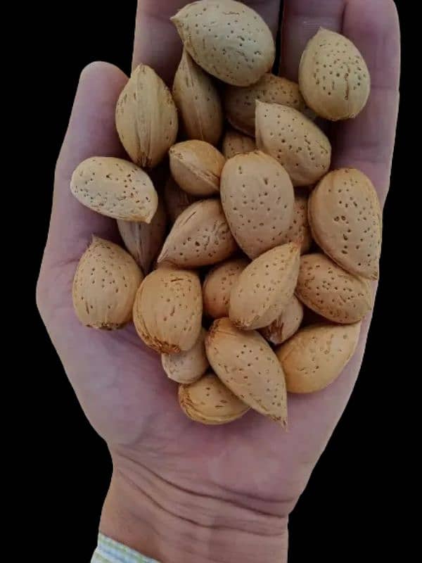 Best Quality Badam | Almonds | Available in 1Kg & 500 g Pack 4