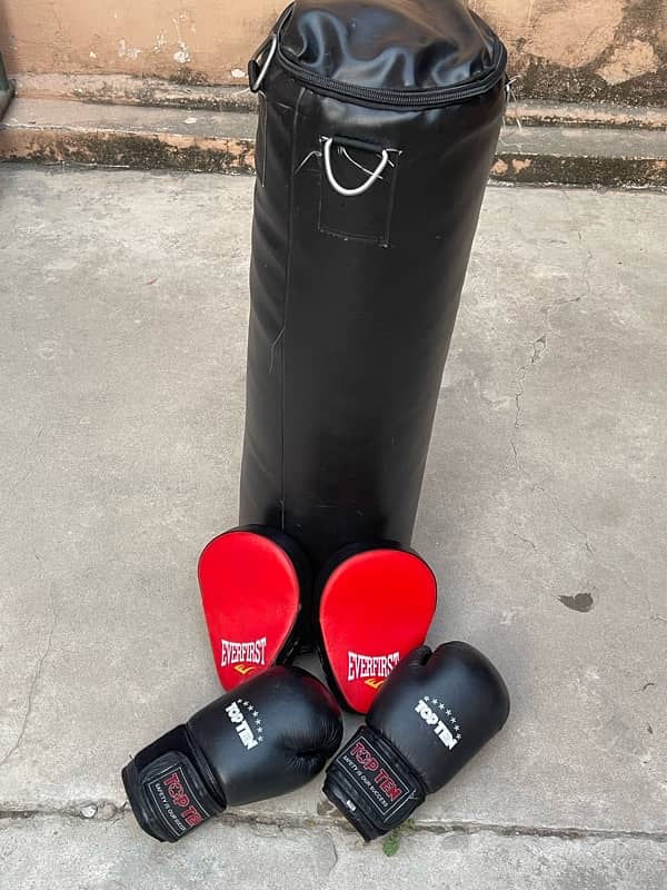 Boxing bag with gloves and Boxing mitts 1