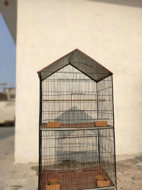 Birds Cage 4