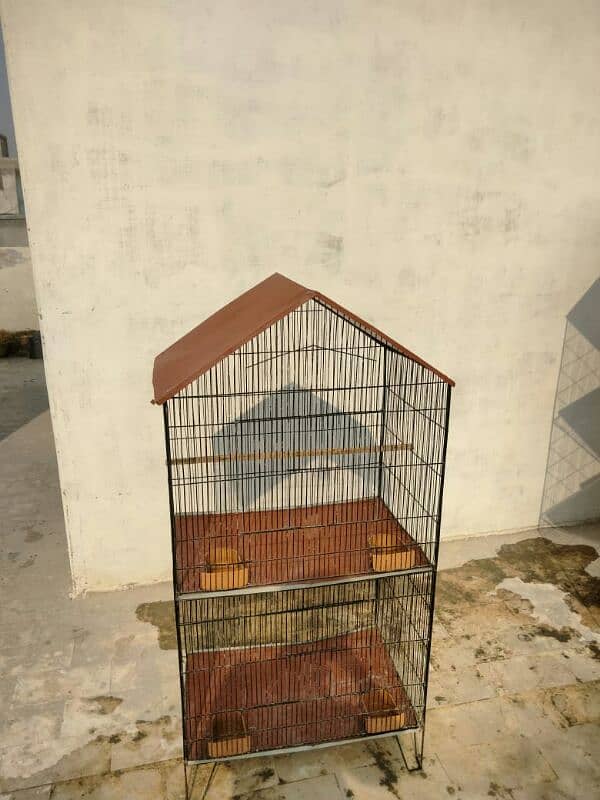 Birds Cage 5