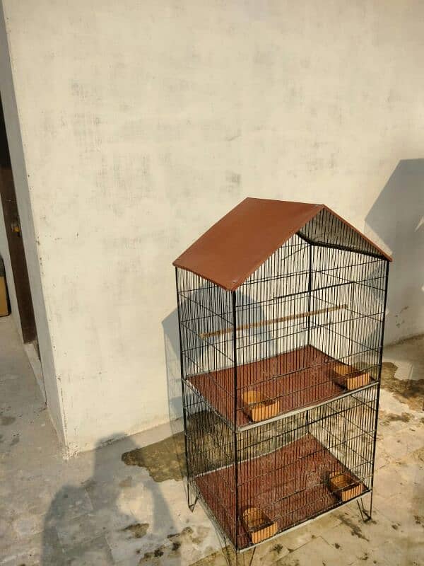 Birds Cage 6