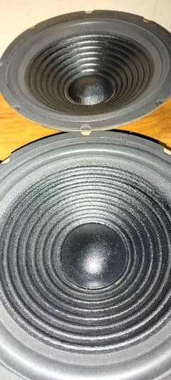 10 inch felo speaker