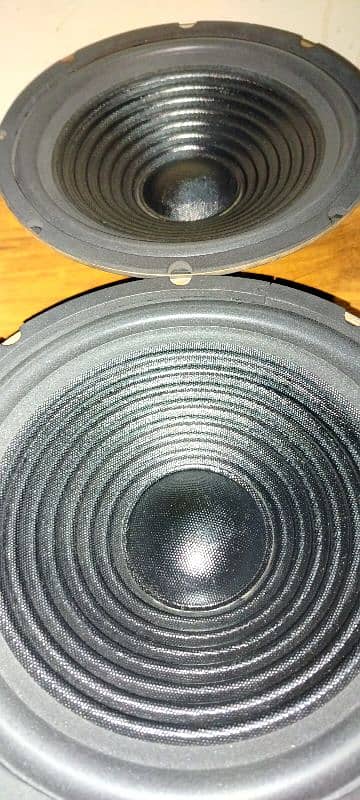 10 inch felo speaker 0