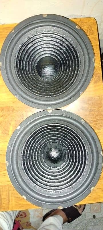 10 inch felo speaker 1