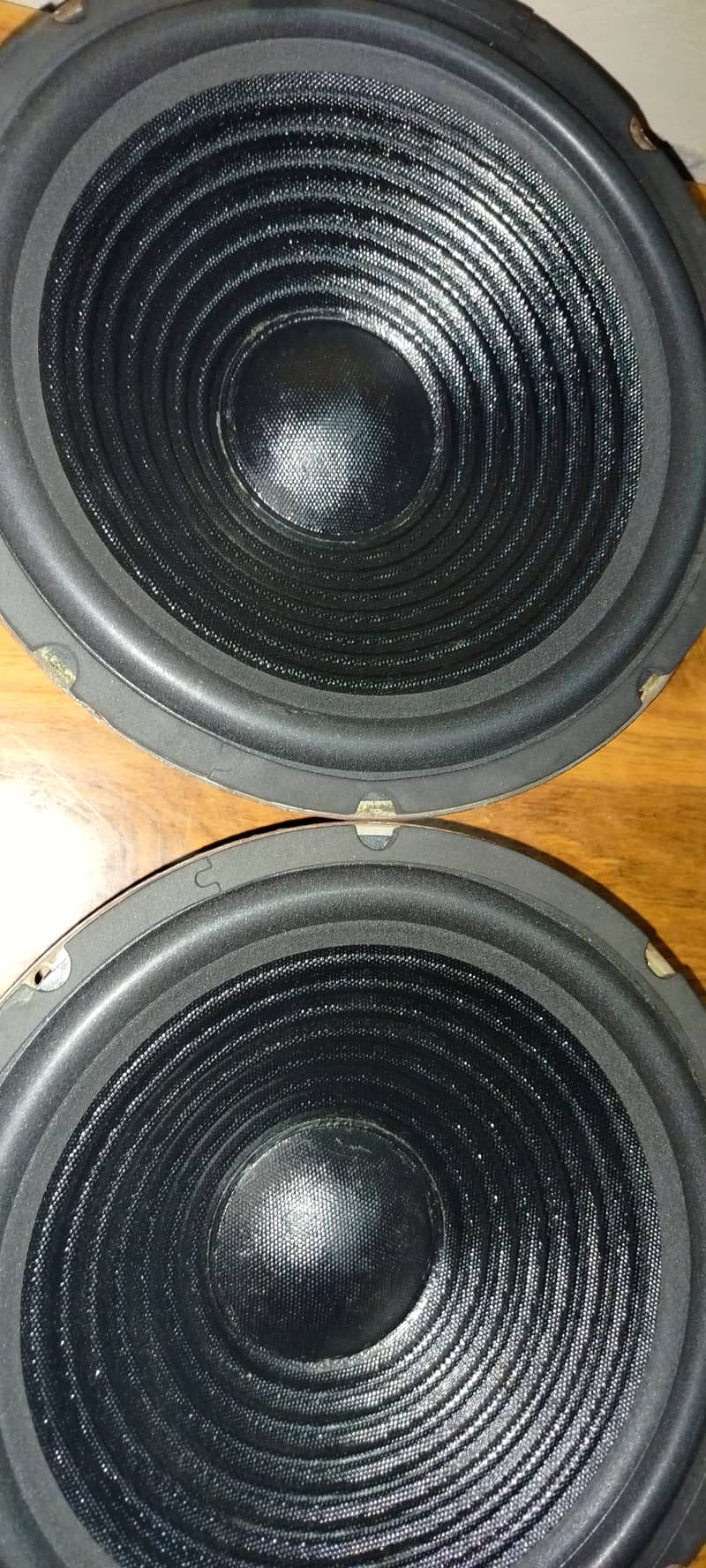 10 inch speaker nina company 1