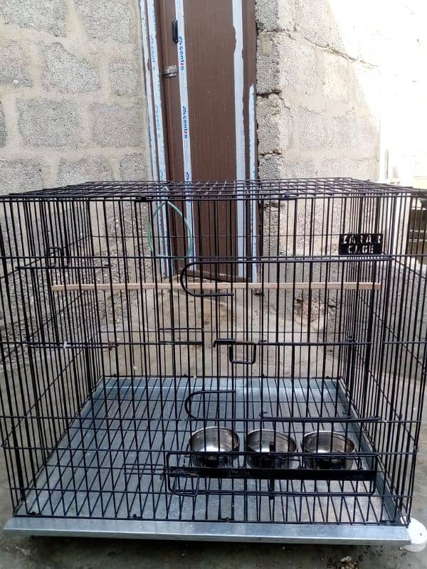 big size cage ring neck and Pahari  gry parrot sale 3