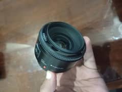 canon 50mm 1.8 lens yongnuo