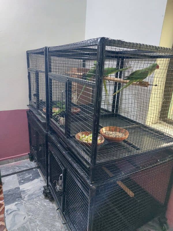 Trolley cages 4 big parrots 0