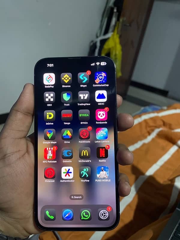 iphone 13 pro Max 256 gb PHYSICAL DUAL HK 6