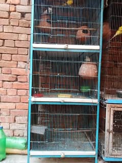 cage perret 03081500932