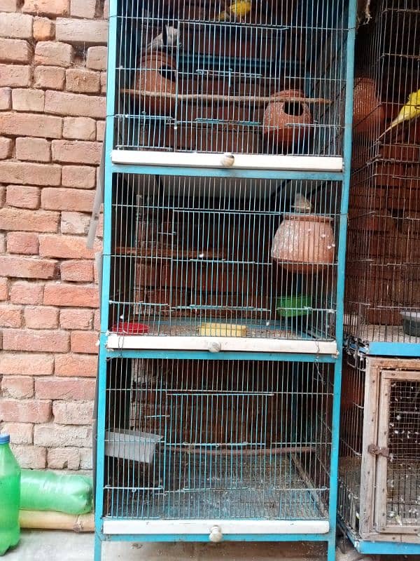 cage perret 03081500932 0