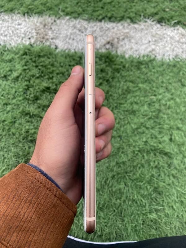 IPhone 8 Plus pta approved 256GB without box 3