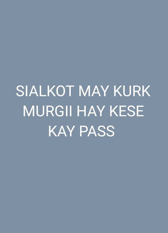 Kurk murgii cahey 2500 3000 tak ager kese Kay pass hu tu rabta keray 0