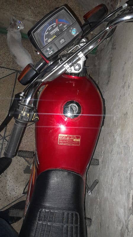 2025 model Road Prince passion 70cc 0