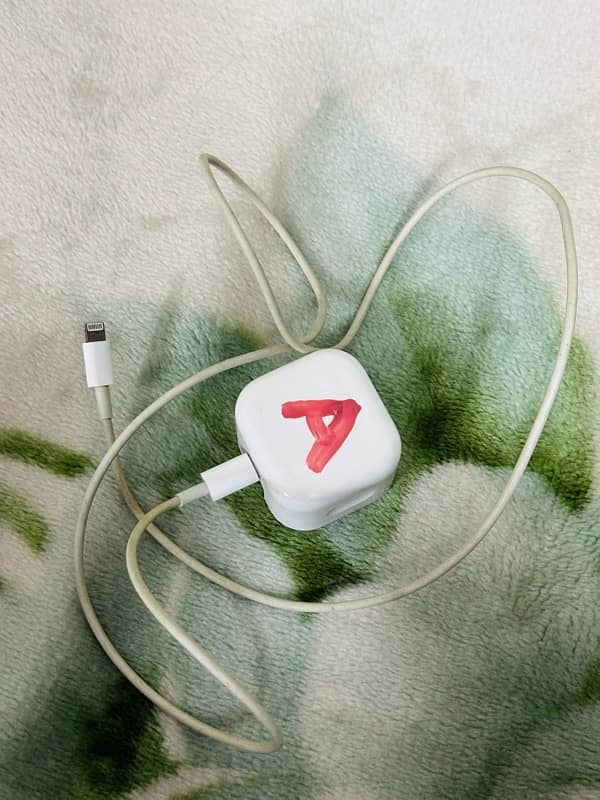 Apple Original Charger 2