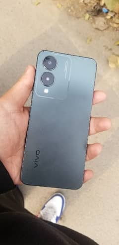 VIVO