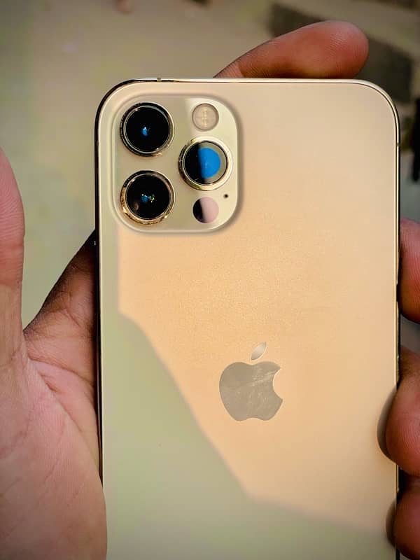 256 gb gold colour fresh piece 10