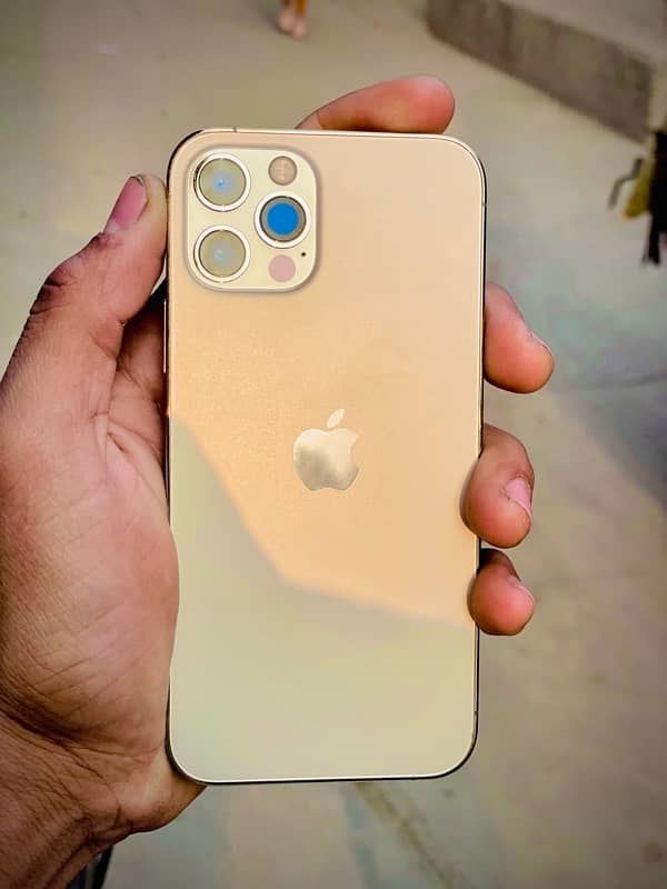 256 gb gold colour fresh piece 11