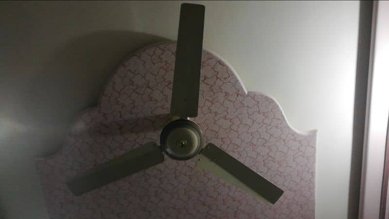 Ceiling Fan 1