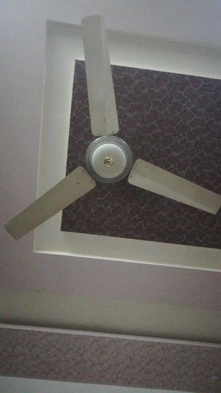 Ceiling Fan 2