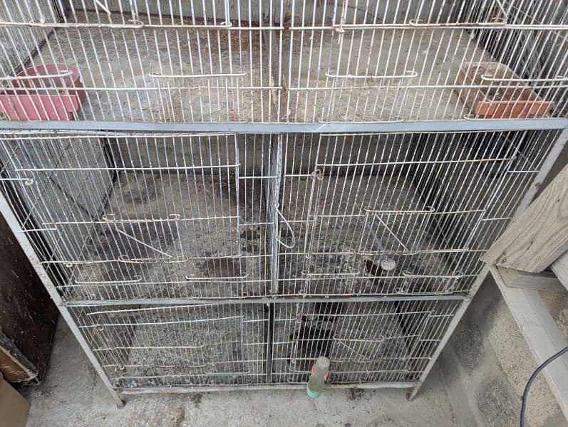 Cage perfect condition hai 3