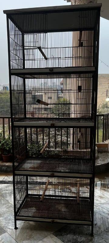 Bird's Cage 1