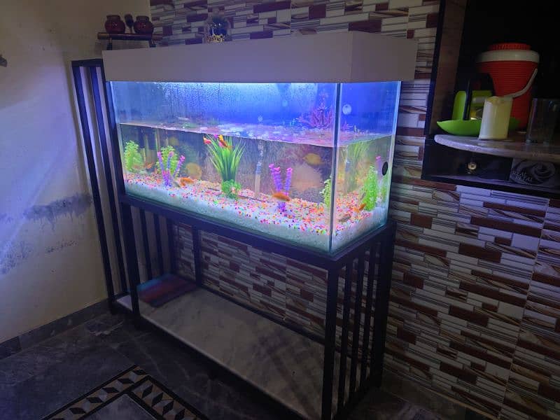 Newly Designed Aquarium with Iron Stand 1