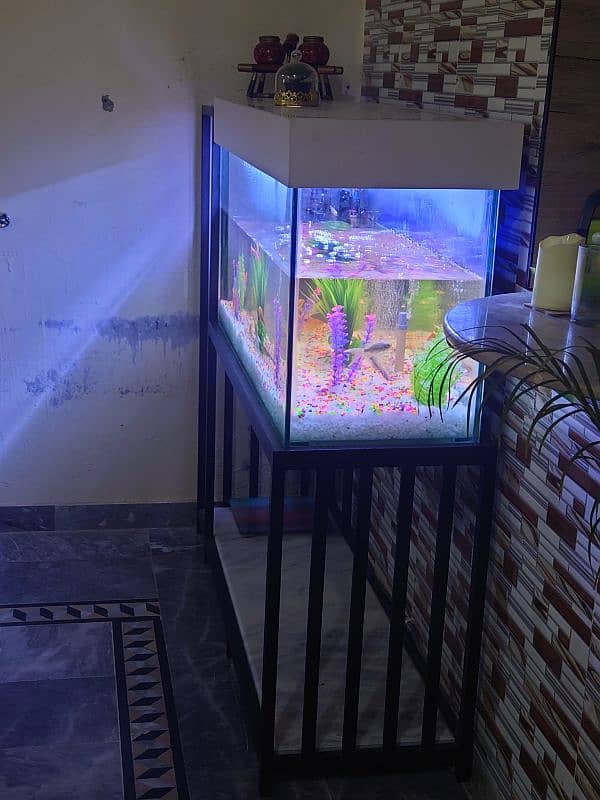 Newly Designed Aquarium with Iron Stand 2