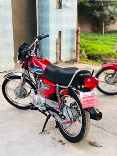 Honda 125 2024 model