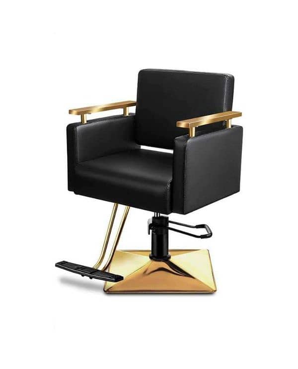 salon and chair for sale 16