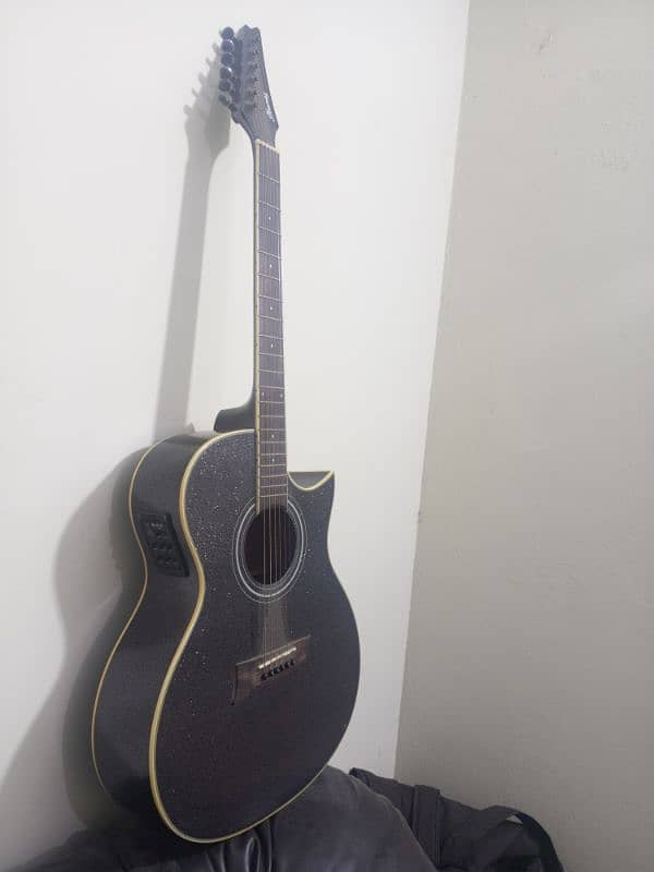 Acoustic Guitar 5