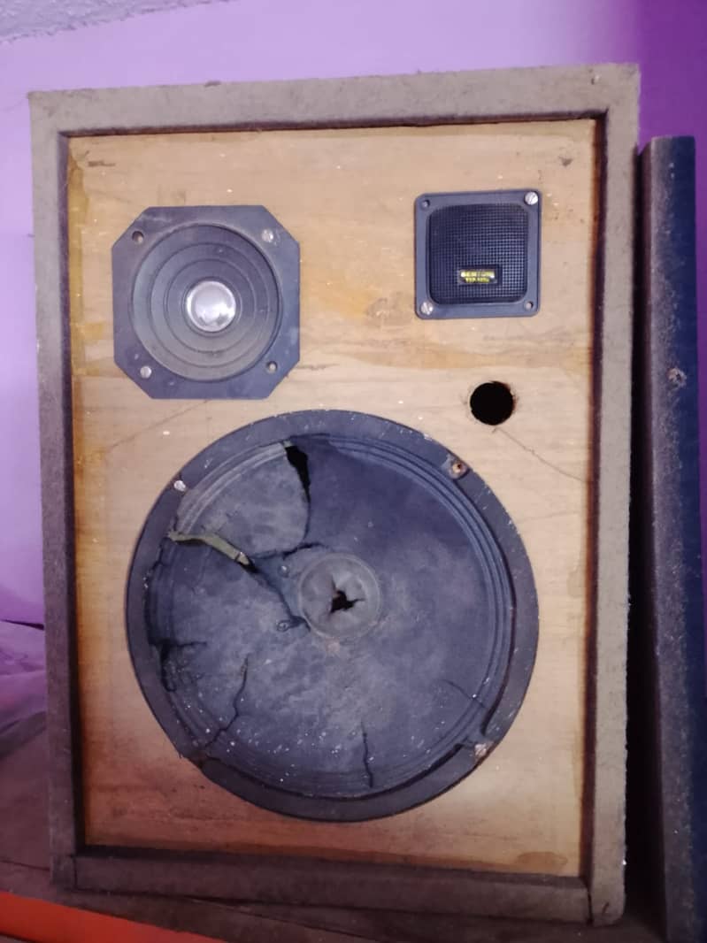 Speaker 10" 1