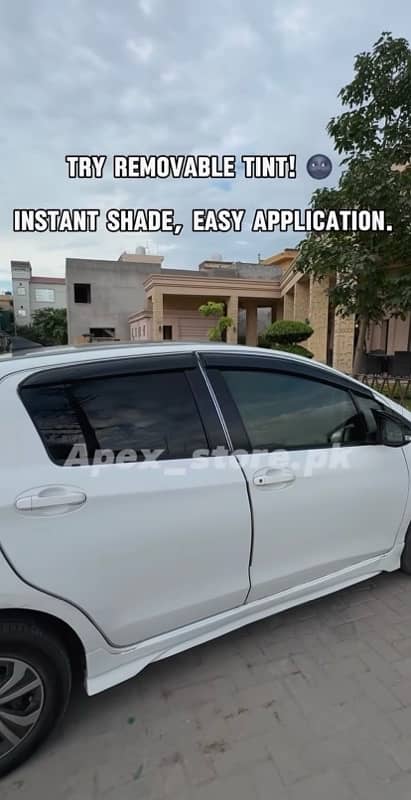 Custom Removeable tints For each Cars 3