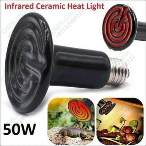 Ceramic Heating Bulbs 2